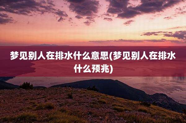 梦见别人在排水什么意思(梦见别人在排水什么预兆)