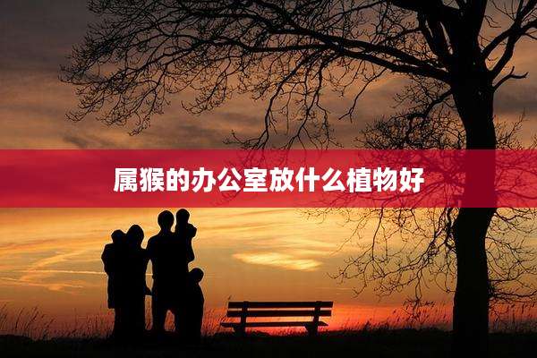 属猴的办公室放什么植物好