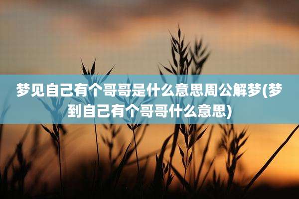 梦见自己有个哥哥是什么意思周公解梦(梦到自己有个哥哥什么意思)