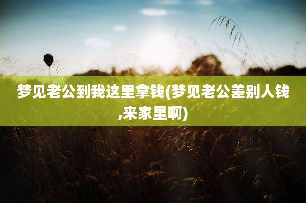 梦见老公到我这里拿钱(梦见老公差别人钱,来家里啊)