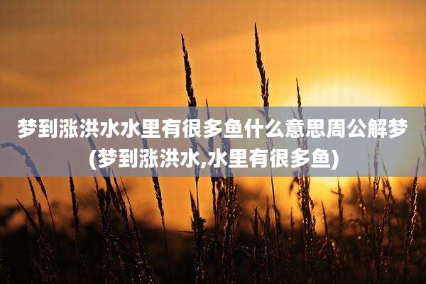 梦到涨洪水水里有很多鱼什么意思周公解梦(梦到涨洪水,水里有很多鱼)