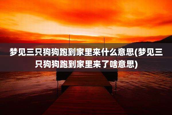 梦见三只狗狗跑到家里来什么意思(梦见三只狗狗跑到家里来了啥意思)