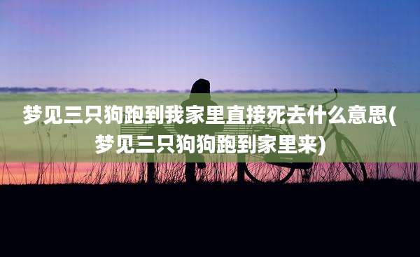 梦见三只狗跑到我家里直接死去什么意思(梦见三只狗狗跑到家里来)