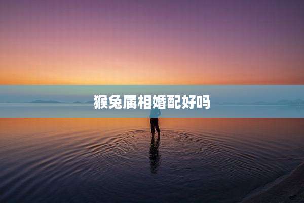 猴兔属相婚配好吗