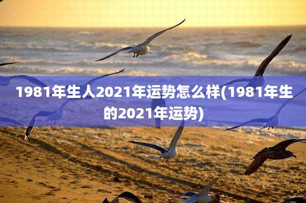 1981年生人2021年运势怎么样(1981年生的2021年运势)