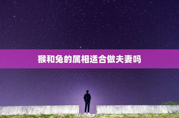 猴和兔的属相适合做夫妻吗
