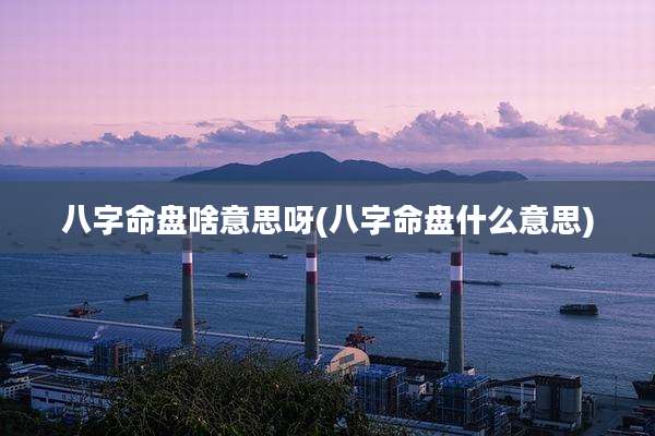 八字命盘啥意思呀(八字命盘什么意思)