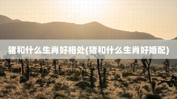 猪和什么生肖好相处(猪和什么生肖好婚配)