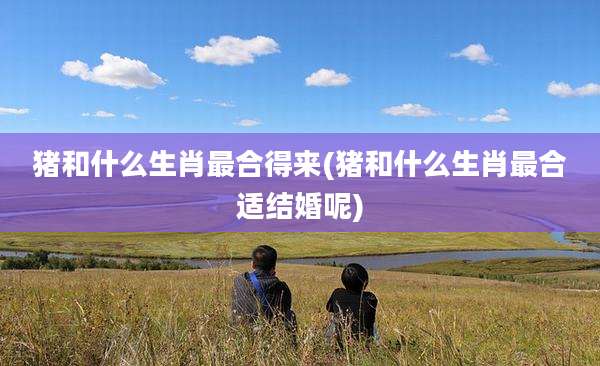 猪和什么生肖最合得来(猪和什么生肖最合适结婚呢)