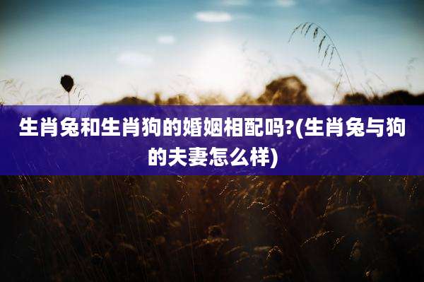 生肖兔和生肖狗的婚姻相配吗?(生肖兔与狗的夫妻怎么样)