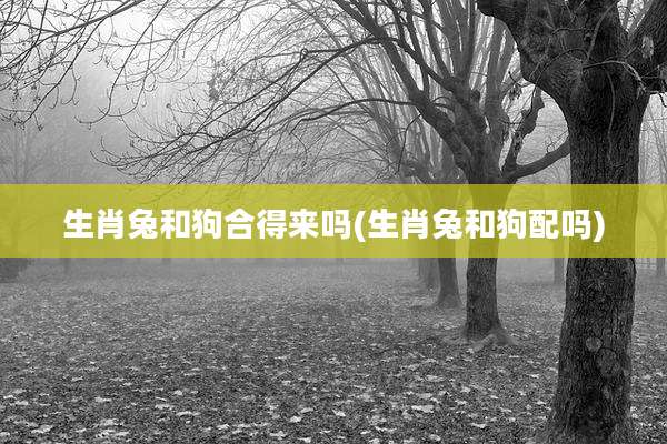 生肖兔和狗合得来吗(生肖兔和狗配吗)