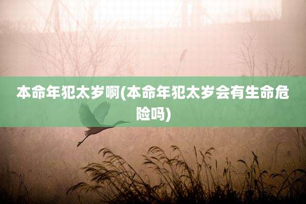 本命年犯太岁啊(本命年犯太岁会有生命危险吗)