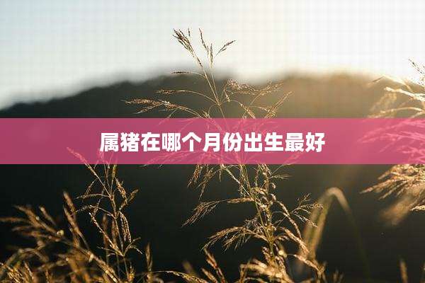 属猪在哪个月份出生最好