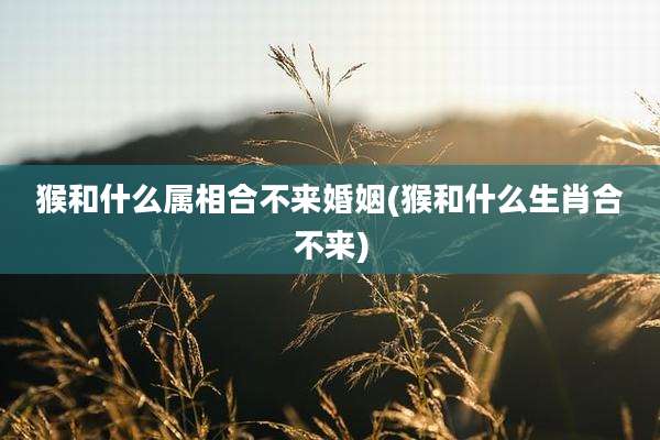 猴和什么属相合不来婚姻(猴和什么生肖合不来)