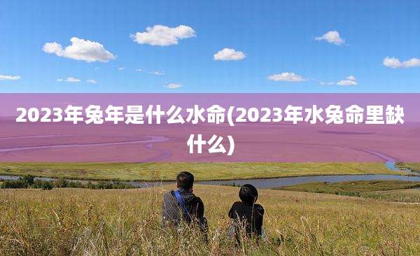 2023年兔年是什么水命(2023年水兔命里缺什么)