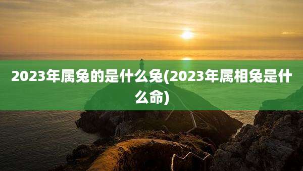 2023年属兔的是什么兔(2023年属相兔是什么命)