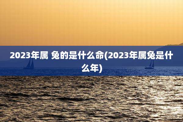 2023年属 兔的是什么命(2023年属兔是什么年)