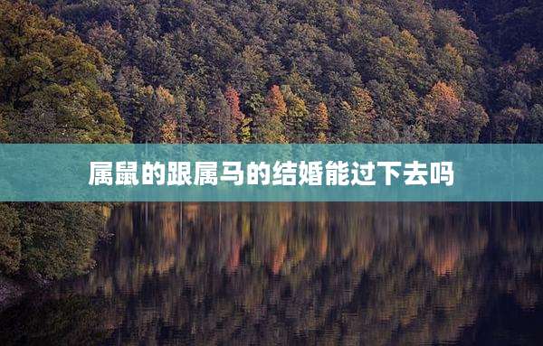 属鼠的跟属马的结婚能过下去吗