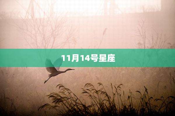 11月14号星座