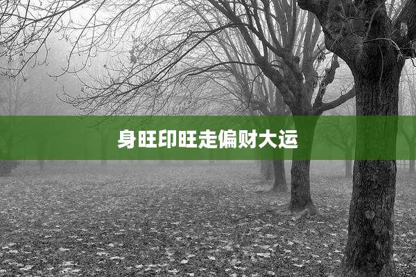 身旺印旺走偏财大运