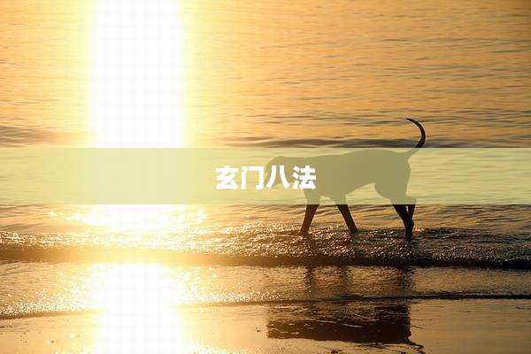 玄门八法