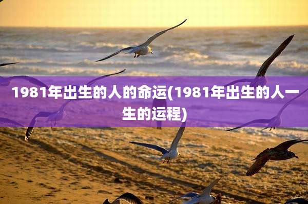 1981年出生的人的命运(1981年出生的人一生的运程)