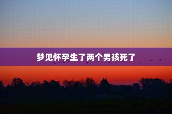 梦见怀孕生了两个男孩死了