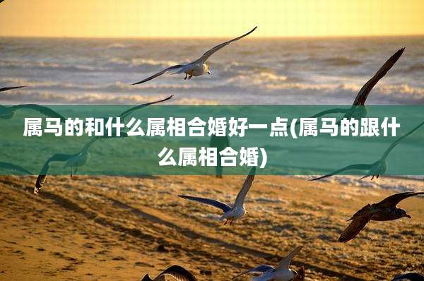 属马的和什么属相合婚好一点(属马的跟什么属相合婚)