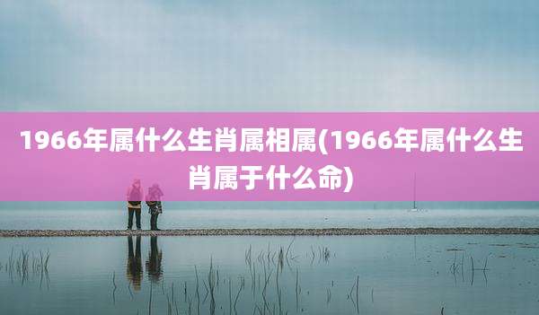 1966年属什么生肖属相属(1966年属什么生肖属于什么命)