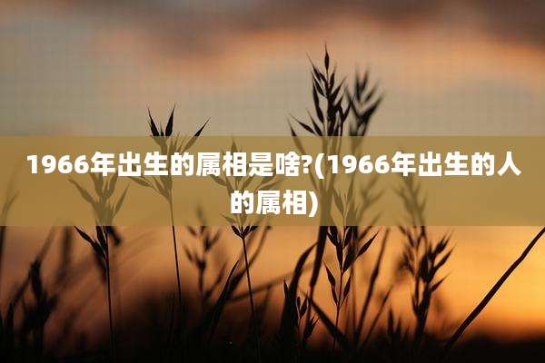 1966年出生的属相是啥?(1966年出生的人的属相)