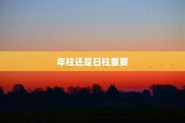 年柱还是日柱重要