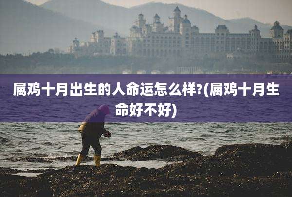属鸡十月出生的人命运怎么样?(属鸡十月生命好不好)