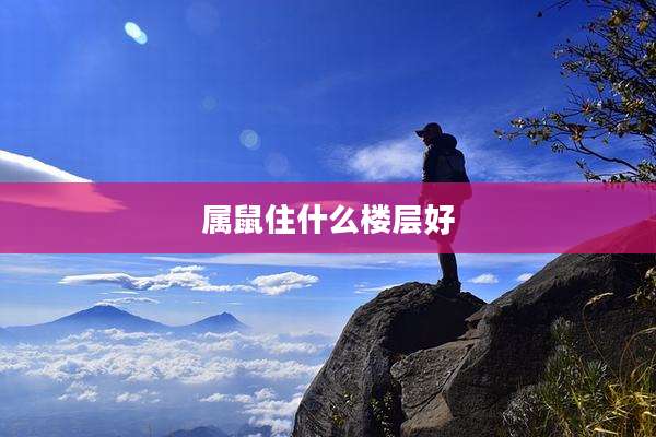 属鼠住什么楼层好