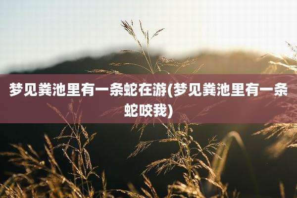梦见粪池里有一条蛇在游(梦见粪池里有一条蛇咬我)