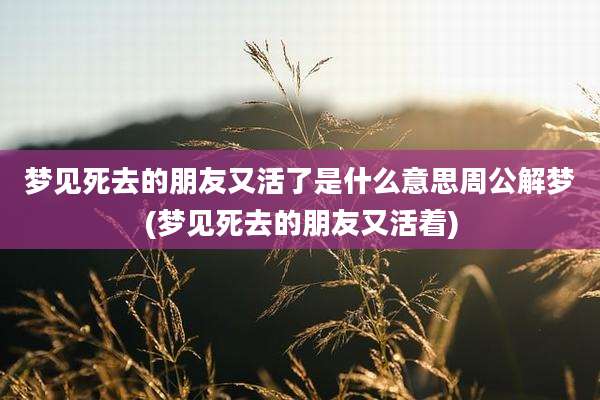 梦见死去的朋友又活了是什么意思周公解梦(梦见死去的朋友又活着)