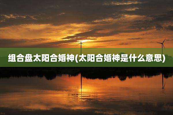 组合盘太阳合婚神(太阳合婚神是什么意思)