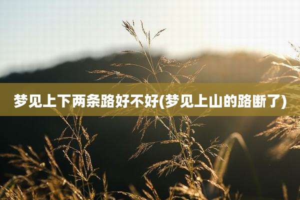 梦见上下两条路好不好(梦见上山的路断了)
