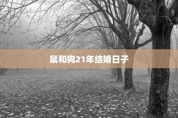 鼠和狗21年结婚日子