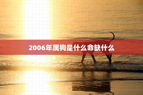 2006年属狗是什么命缺什么