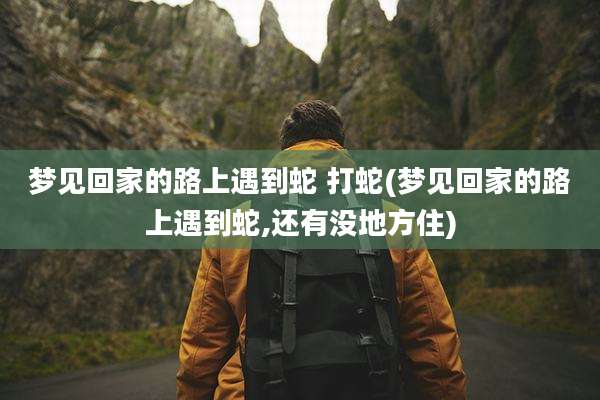 梦见回家的路上遇到蛇 打蛇(梦见回家的路上遇到蛇,还有没地方住)