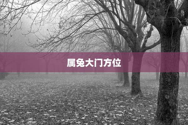 属兔大门方位