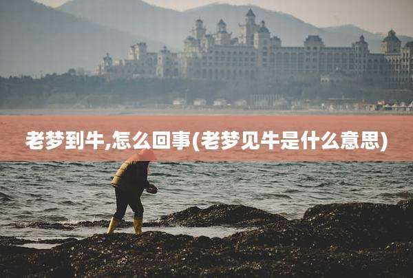 老梦到牛,怎么回事(老梦见牛是什么意思)