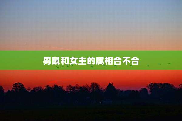 男鼠和女主的属相合不合