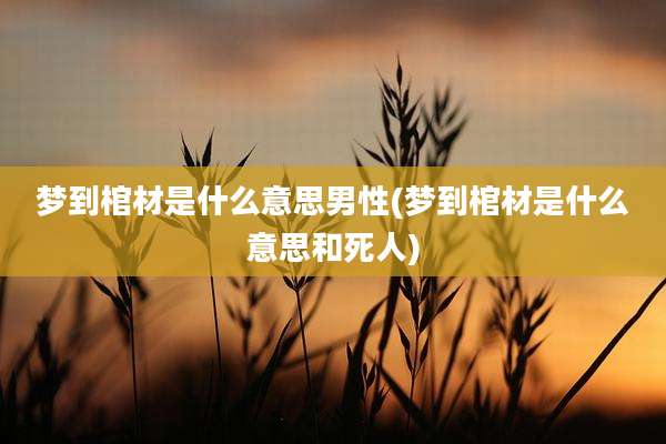 梦到棺材是什么意思男性(梦到棺材是什么意思和死人)