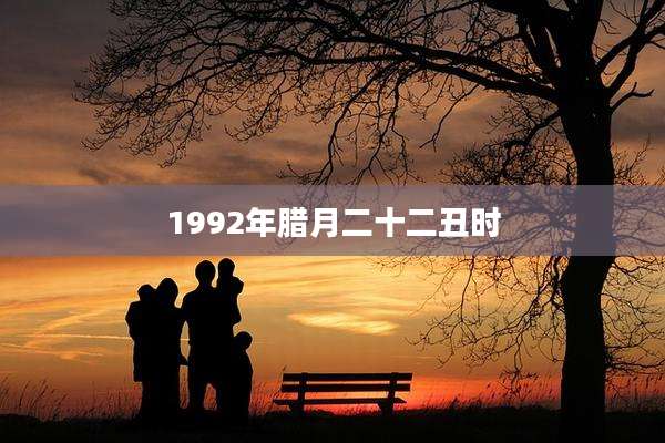 1992年腊月二十二丑时