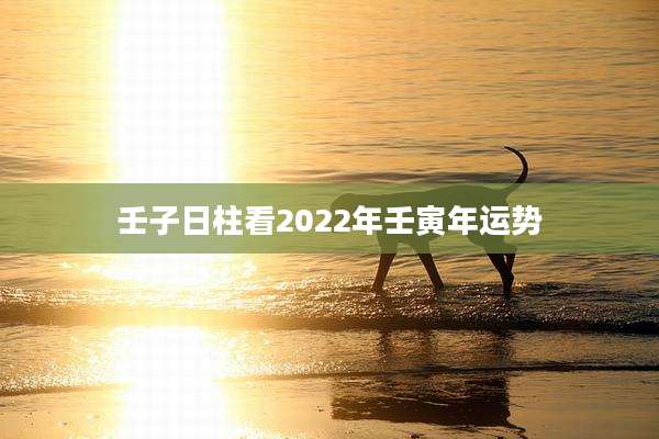 壬子日柱看2022年壬寅年运势