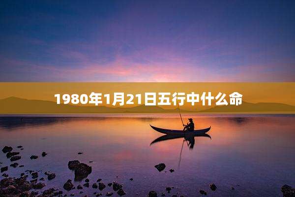 1980年1月21日五行中什么命