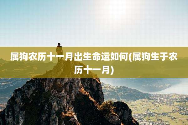 属狗农历十一月出生命运如何(属狗生于农历十一月)
