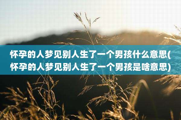 怀孕的人梦见别人生了一个男孩什么意思(怀孕的人梦见别人生了一个男孩是啥意思)