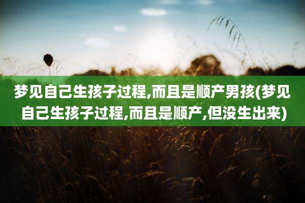 梦见自己生孩子过程,而且是顺产男孩(梦见自己生孩子过程,而且是顺产,但没生出来)
